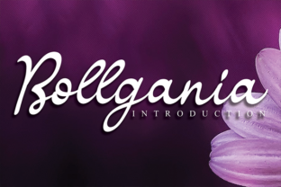 Bollgania Font for Creative Projects