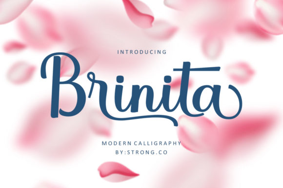 Brinita: A Magical Handwritten Font