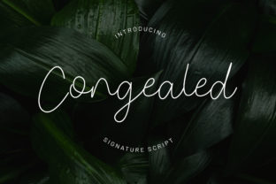 Congealed Font for Elegant Web Design