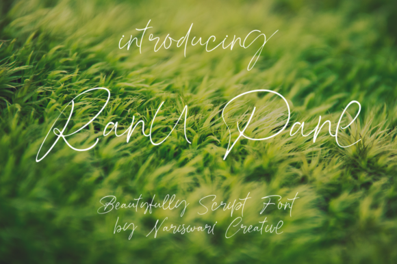 Ranu Pane Font for Elegant Branding